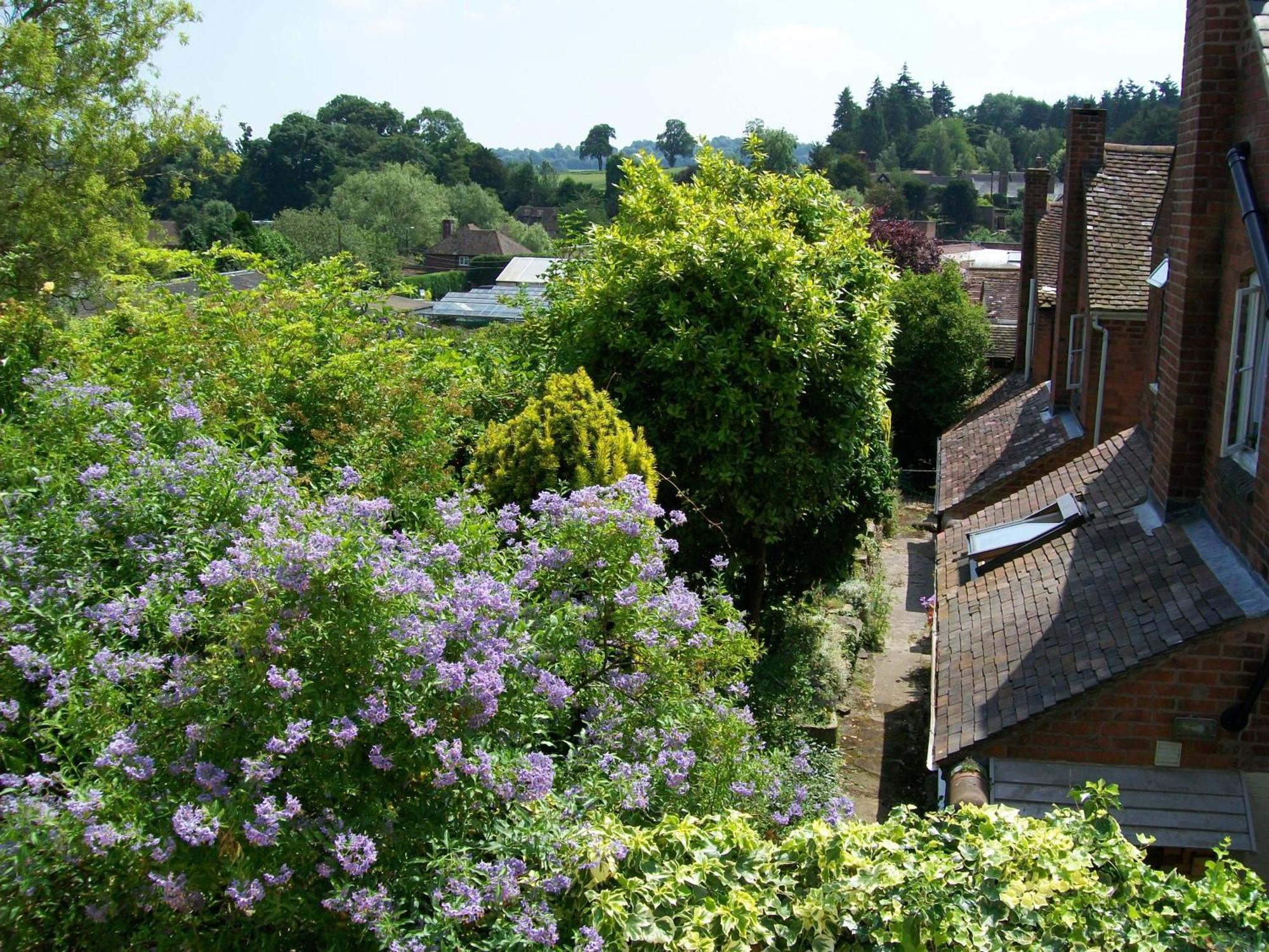 Frog Cottage, Ludlow - A Charming Townhouse For 4 Kültér fotó